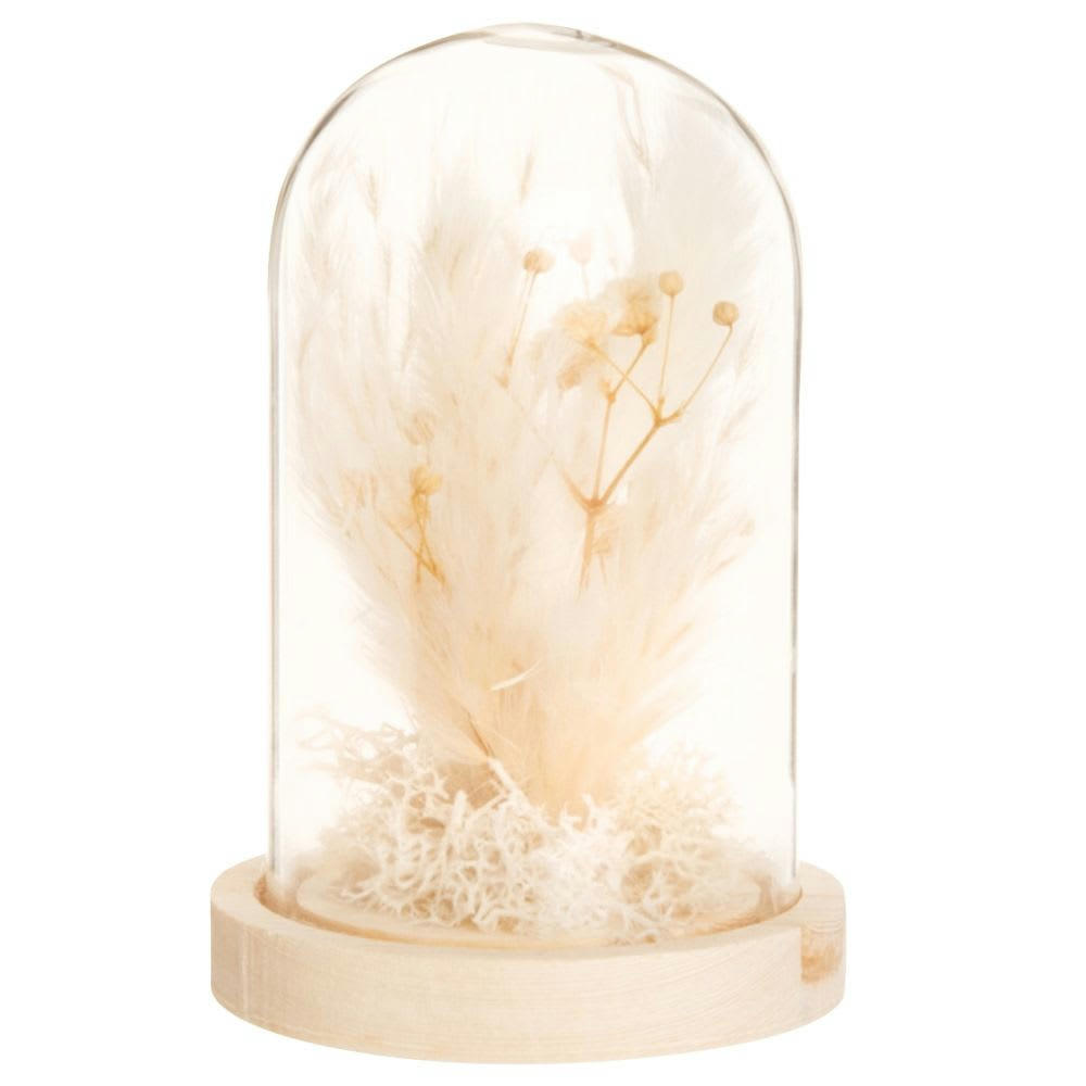 PIA - Cloche en verre, support en bois de pin et fleurs séchées écrues H7