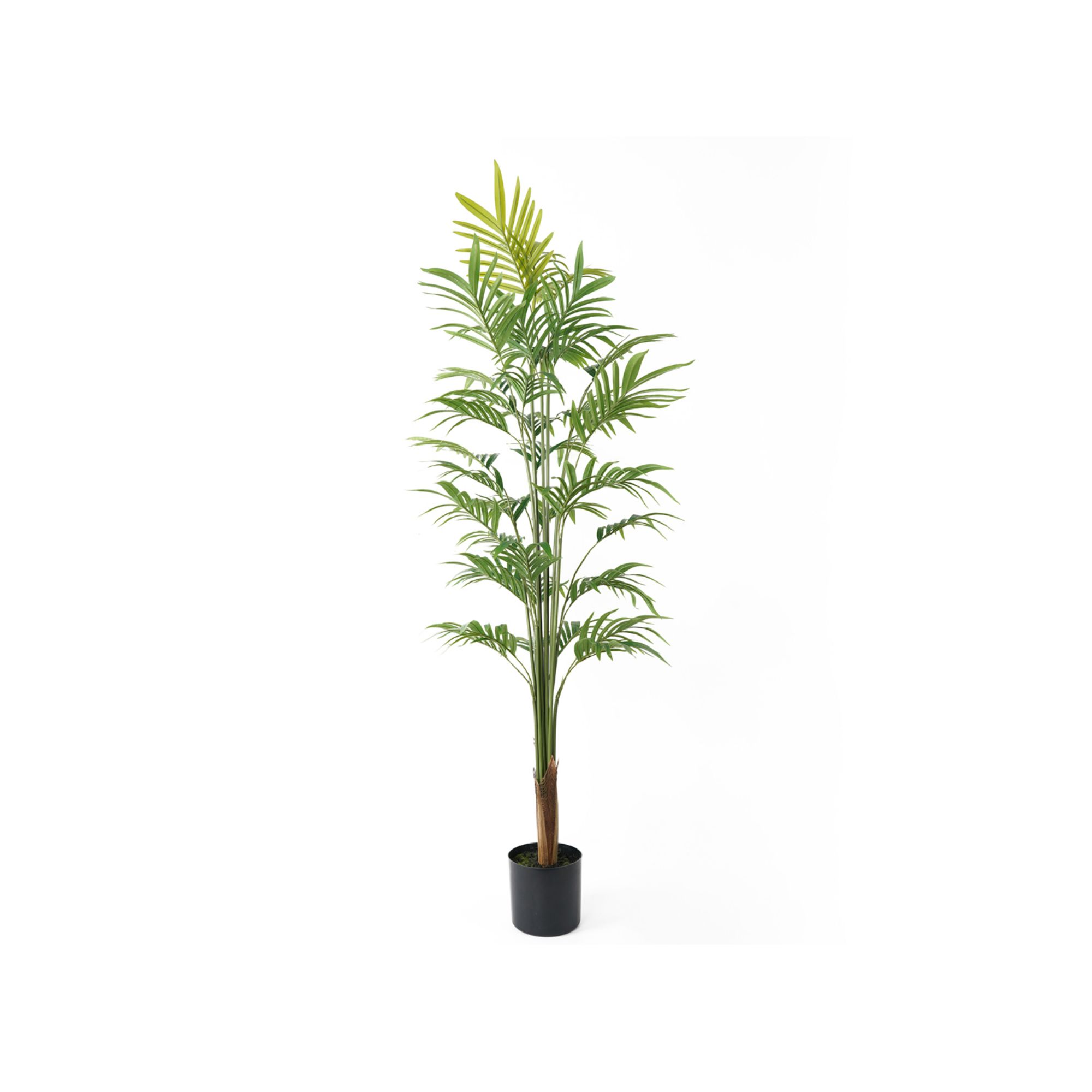 Present Time kunstplant Gold Palm Tree Large - groen - 65x65x160cm