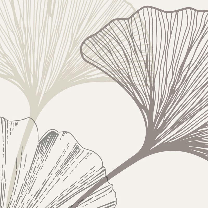 GINGKO TAUPE - Bandeau PVC lot de 2 : L 70cmxH 30cm Beige Feuillage Végétal