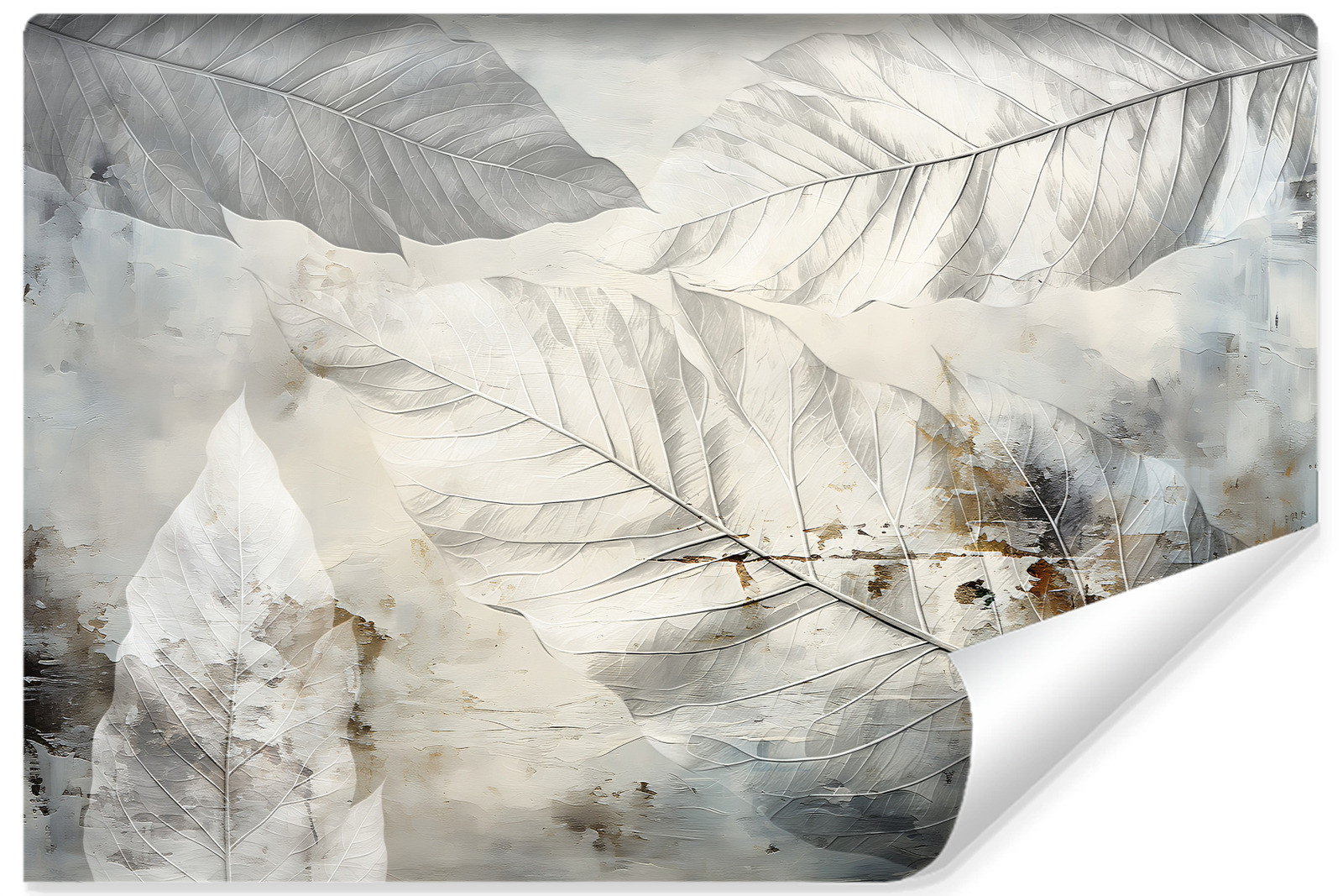 Fototapeta Abstrakcyjne Liście Na Betonie 90x60cm