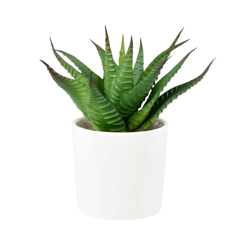 AMON - Succulente artificielle et pot en argile blanc