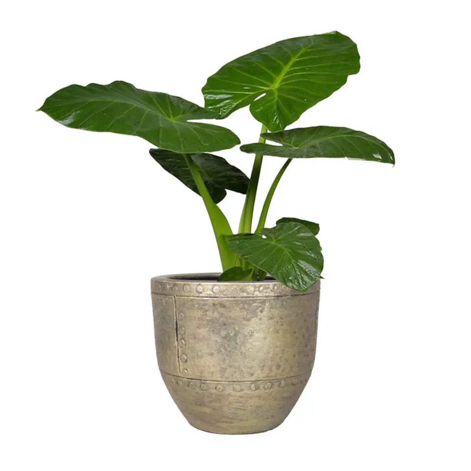 Floran Bloempot - industrieel - goud - keramiek met coating - 14 cm