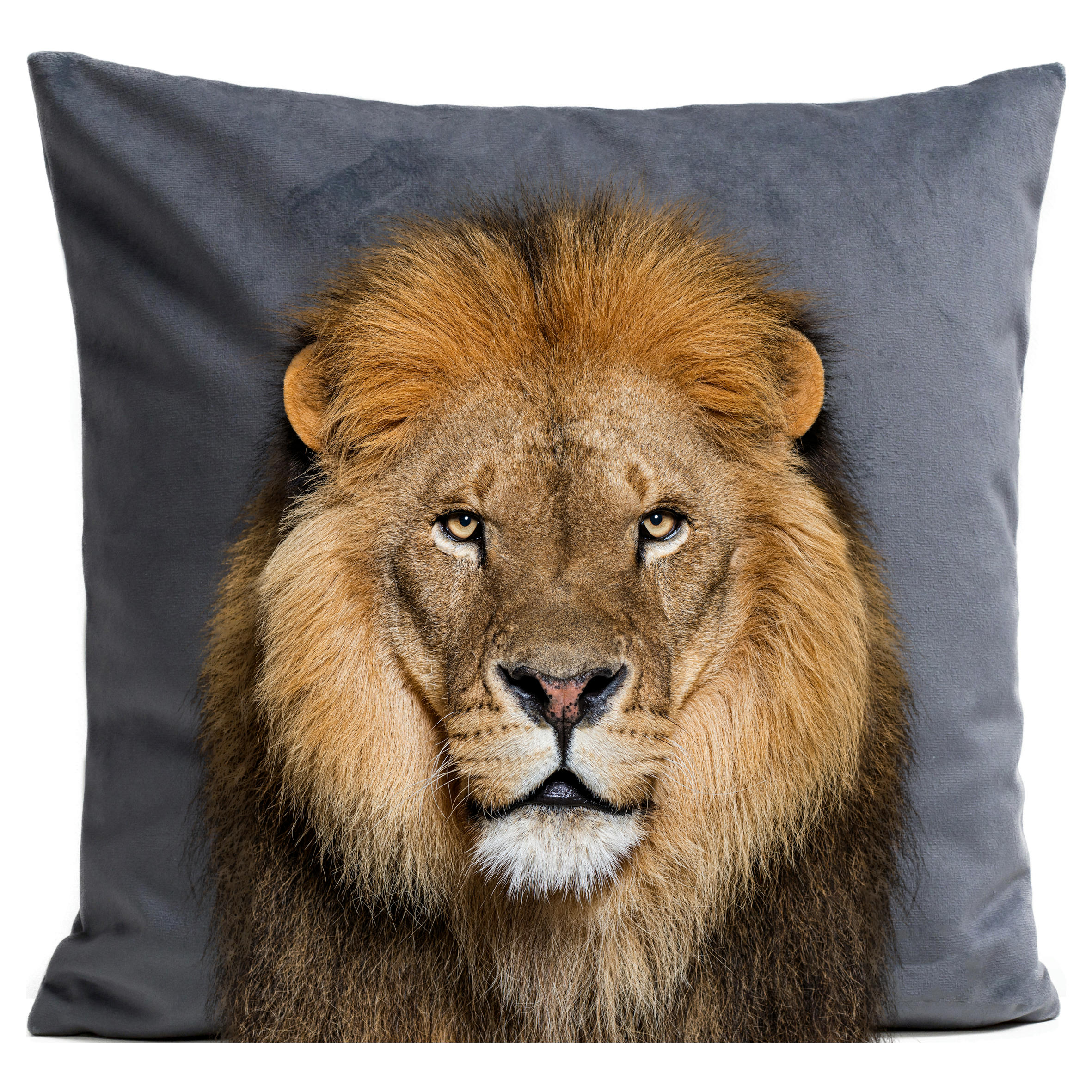 - Coussin animal lion suédine gris 40x40cm