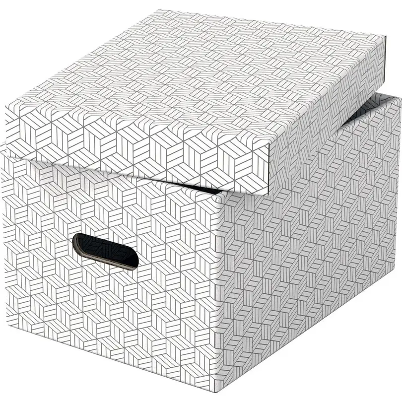Aufbewahrungsbox 3er-Set Esselte Home M