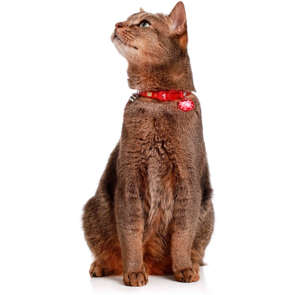 Halsband »Krokom«, für Katzen, Nylon/Kunststoff, rot