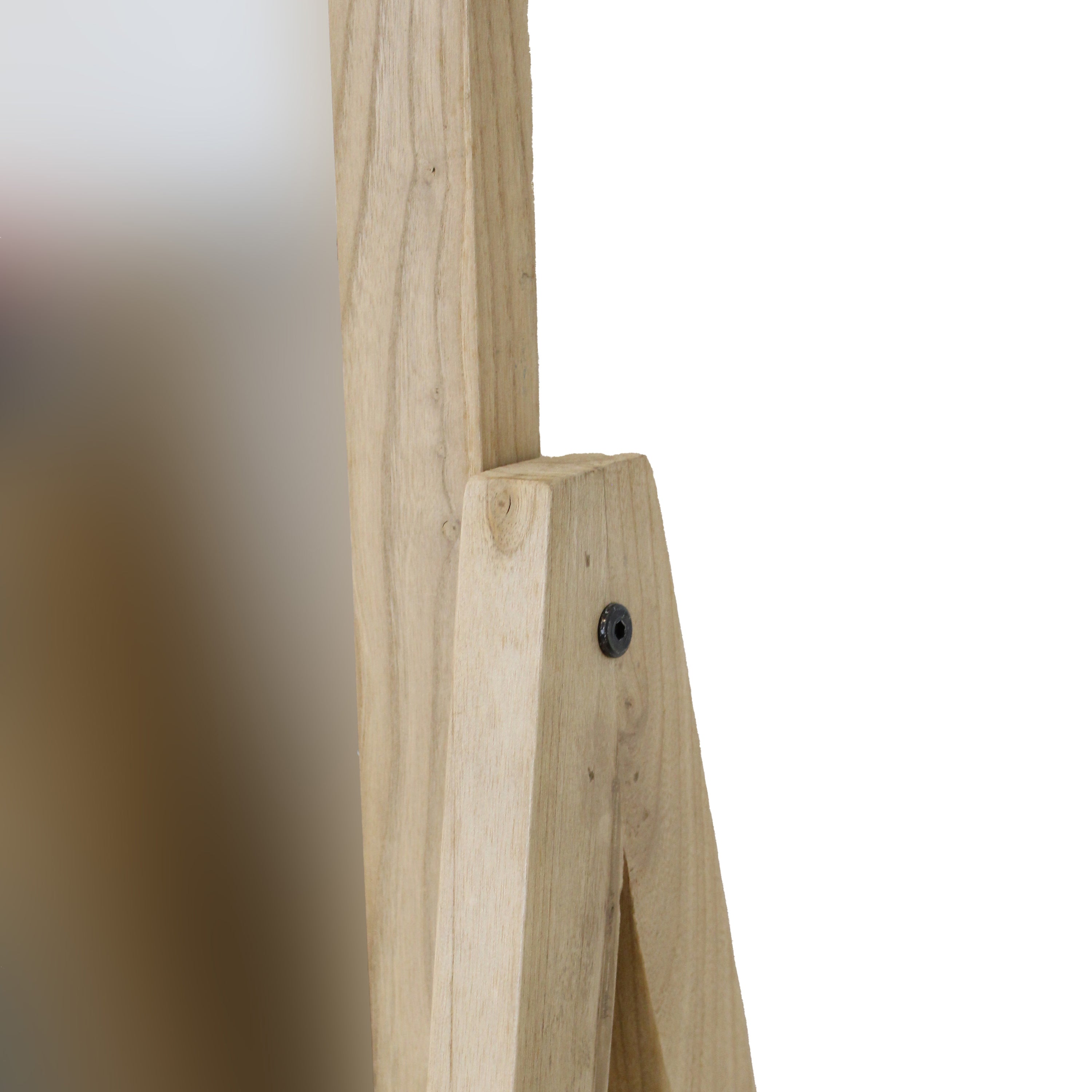 Van der Leeden Webbing Spiegel