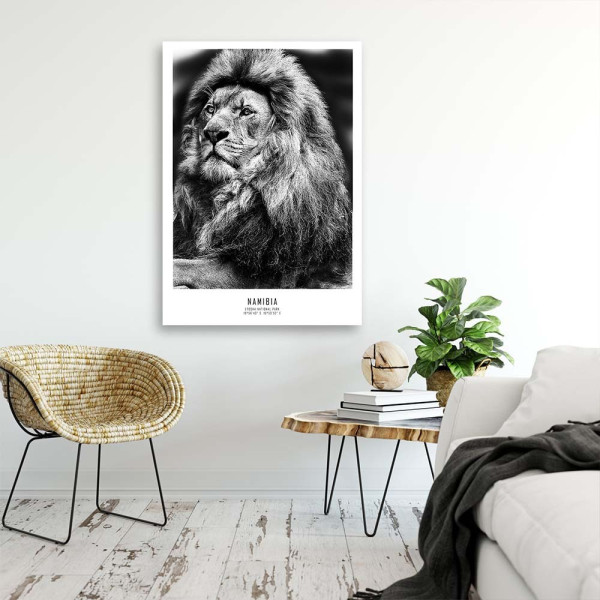 Feeby Obraz na płótnie, Lew Symbol Afryki 40x60