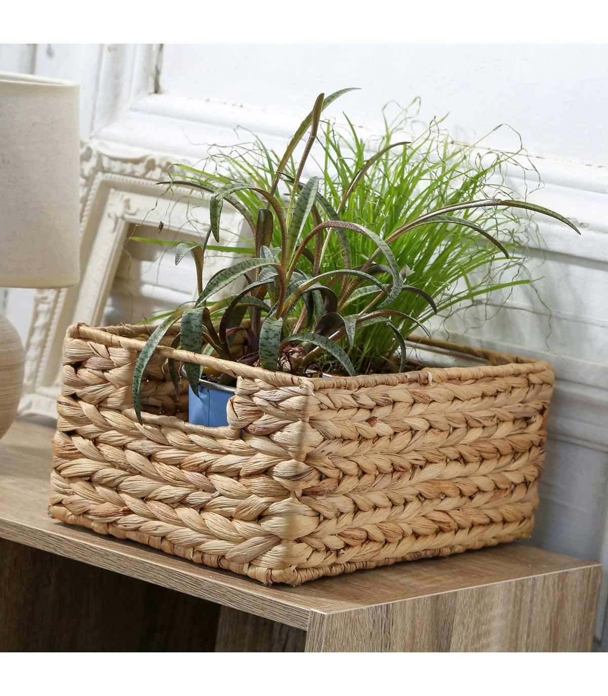 - Panier en jacinthe d'eau armature métal - hauteur 13 cm - Beige