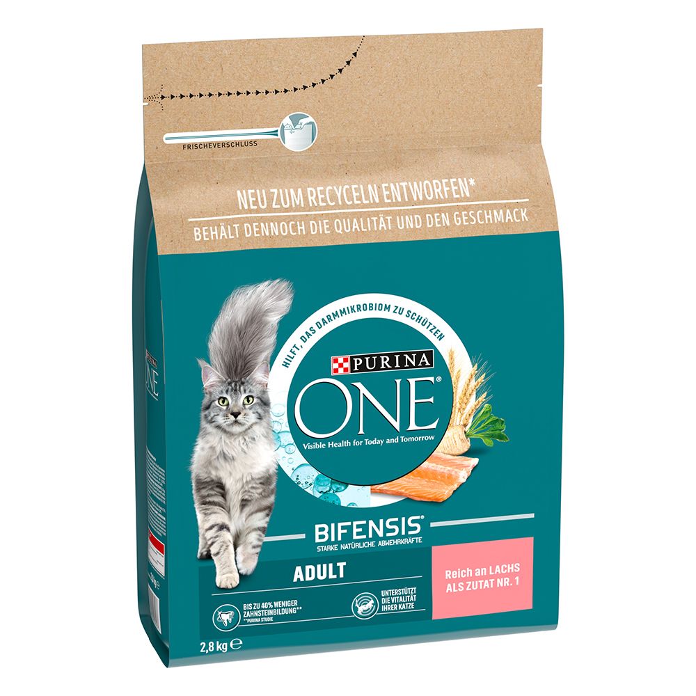 PURINA ONE Adult with salmon & whole grain cereals