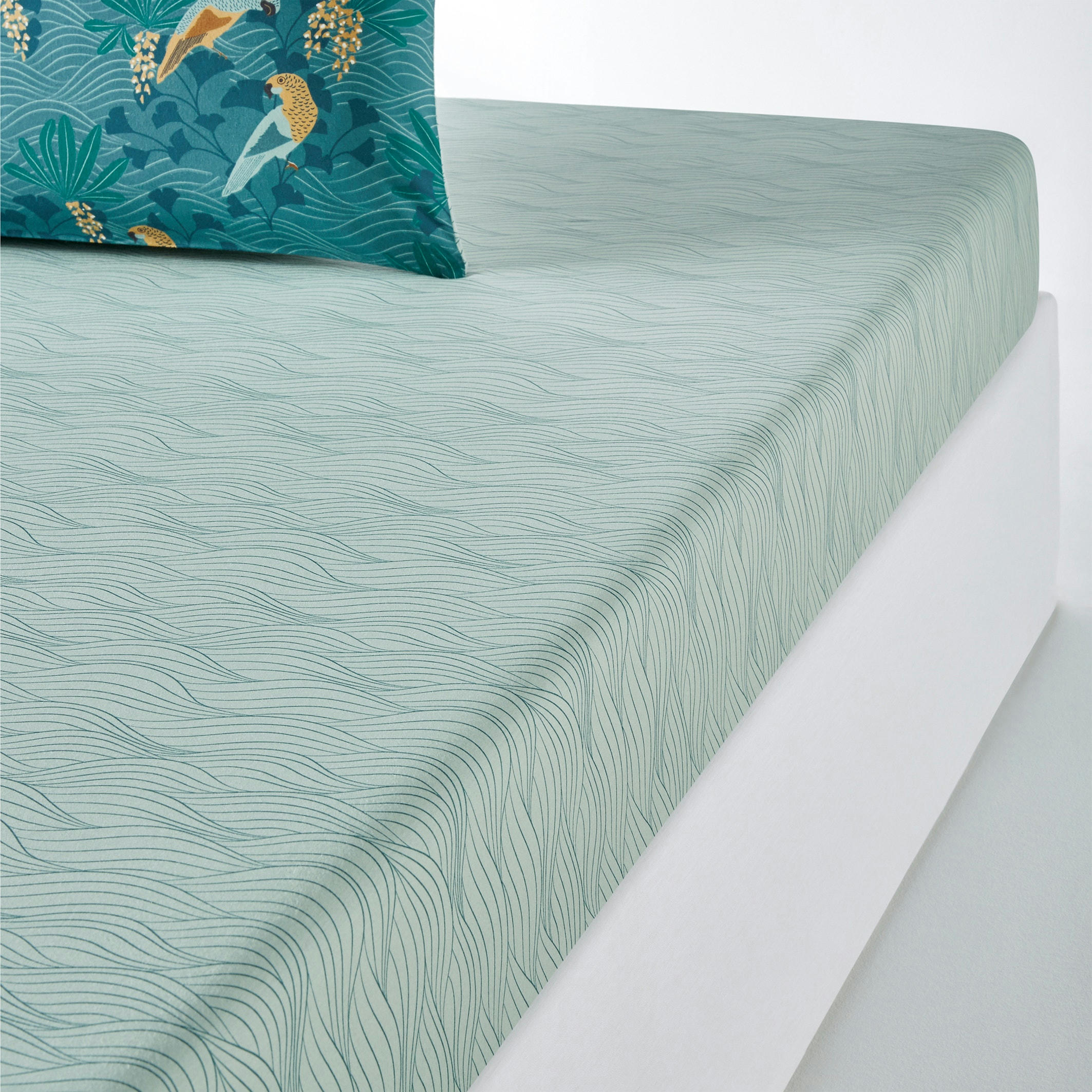 Drap housse percale coton, Minami