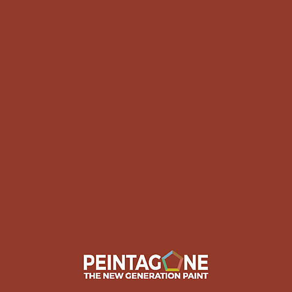 Fiche couleur (20 x 13 cm) - PE107 Flamenco