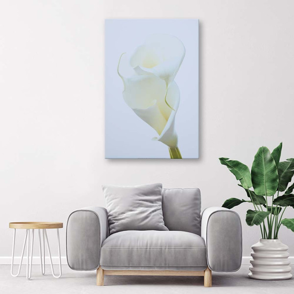 Feeby Obraz na płótnie Białe kalie 40x60