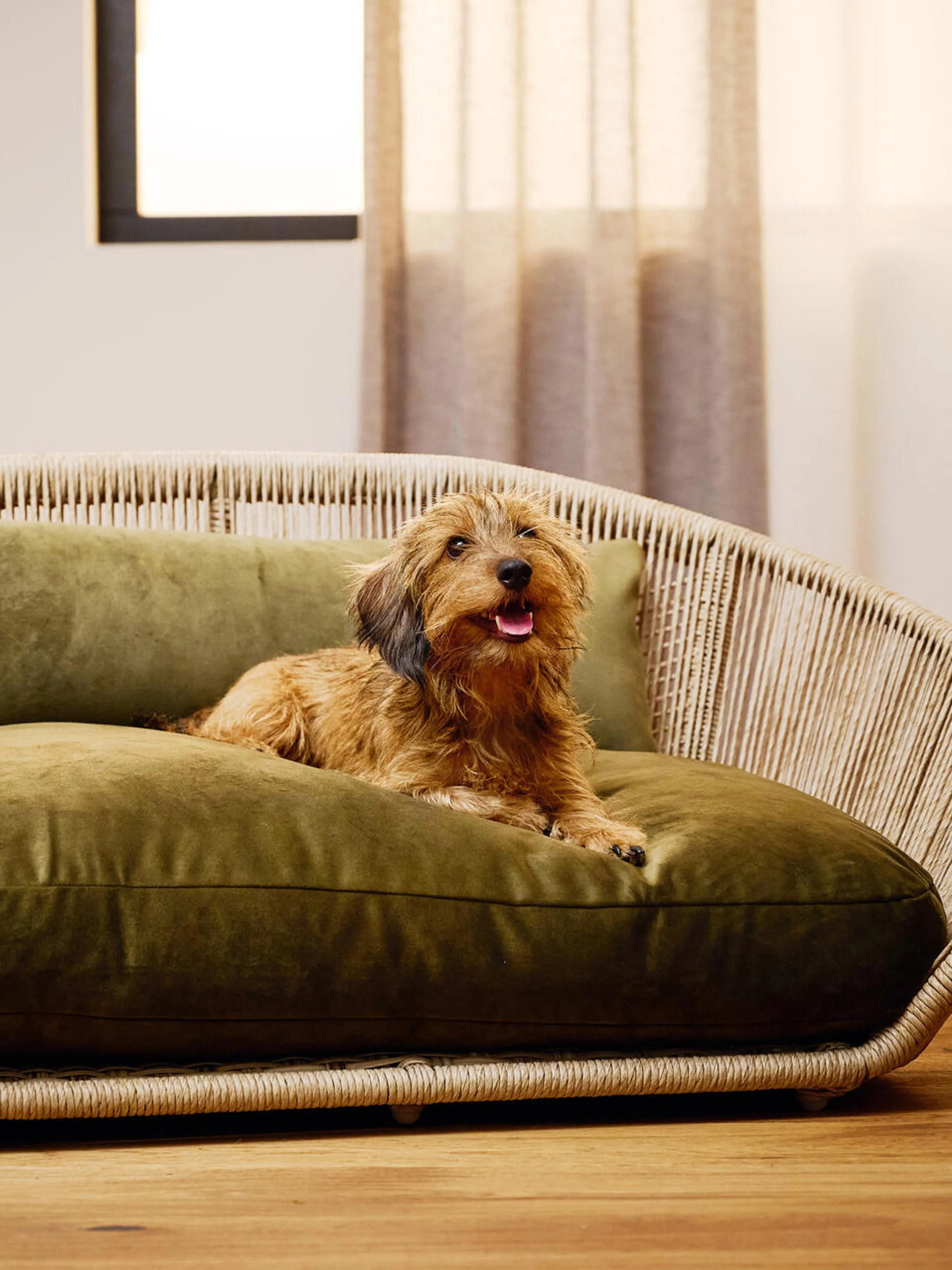 In- & Outdoor-Hundebett Vogue