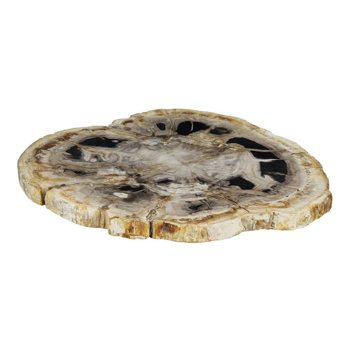 PALU - Plateau de présentation en bois pétrifié nuancé