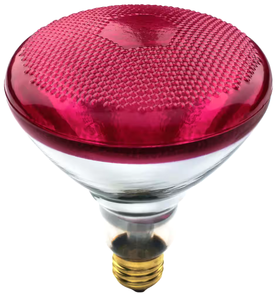 NOMA BR38 E26 Base Dimmable Incandescent Flood Light Bulb, Red, 100W