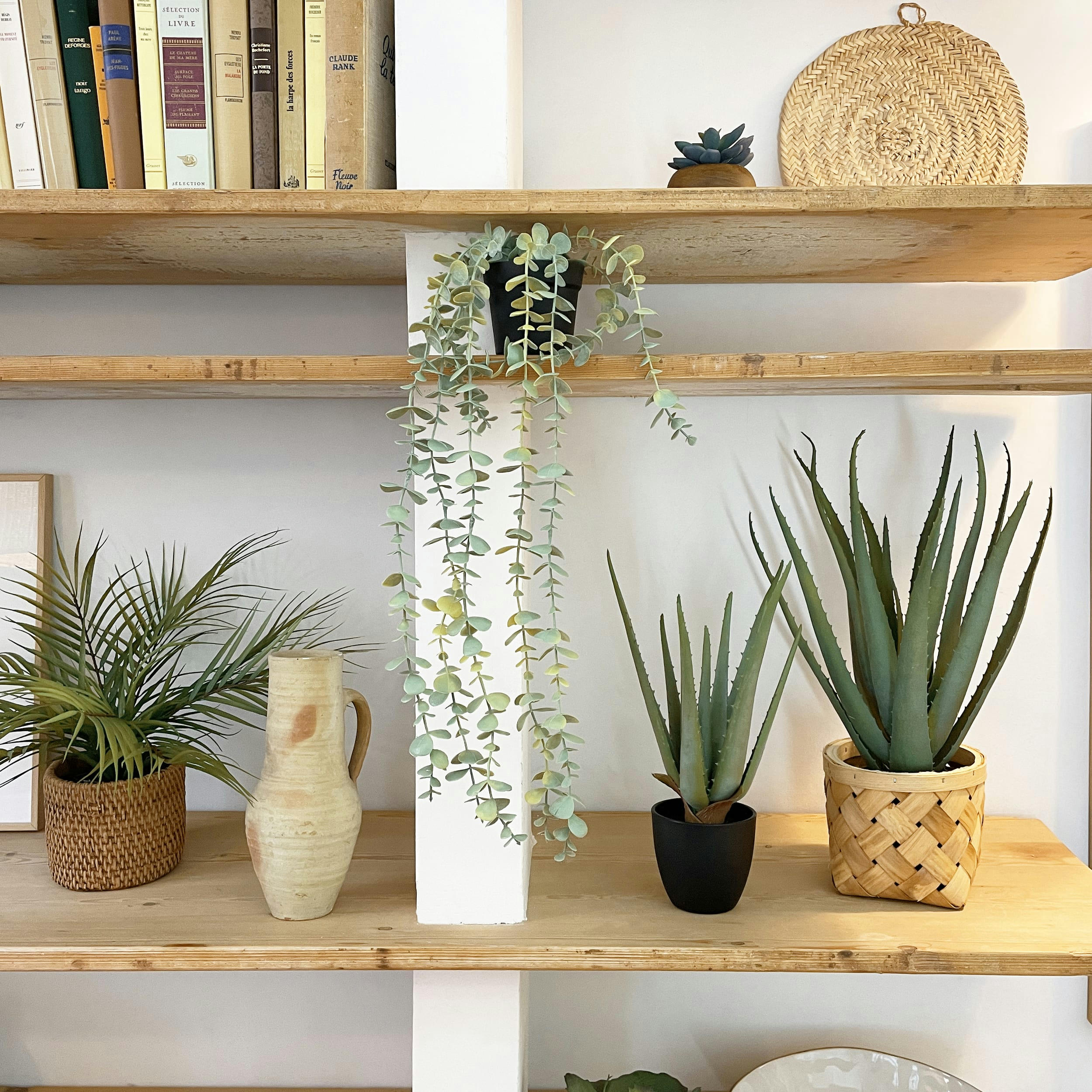 - Aloe vera artificiel 35cm