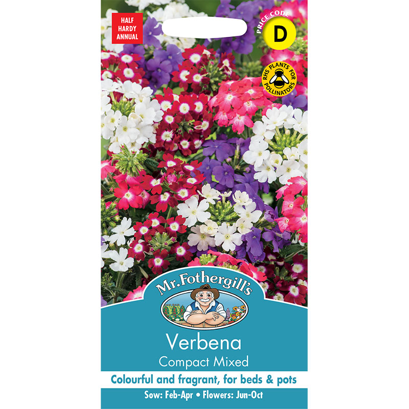 Trädgårdsverbena 'Compact Mixed'