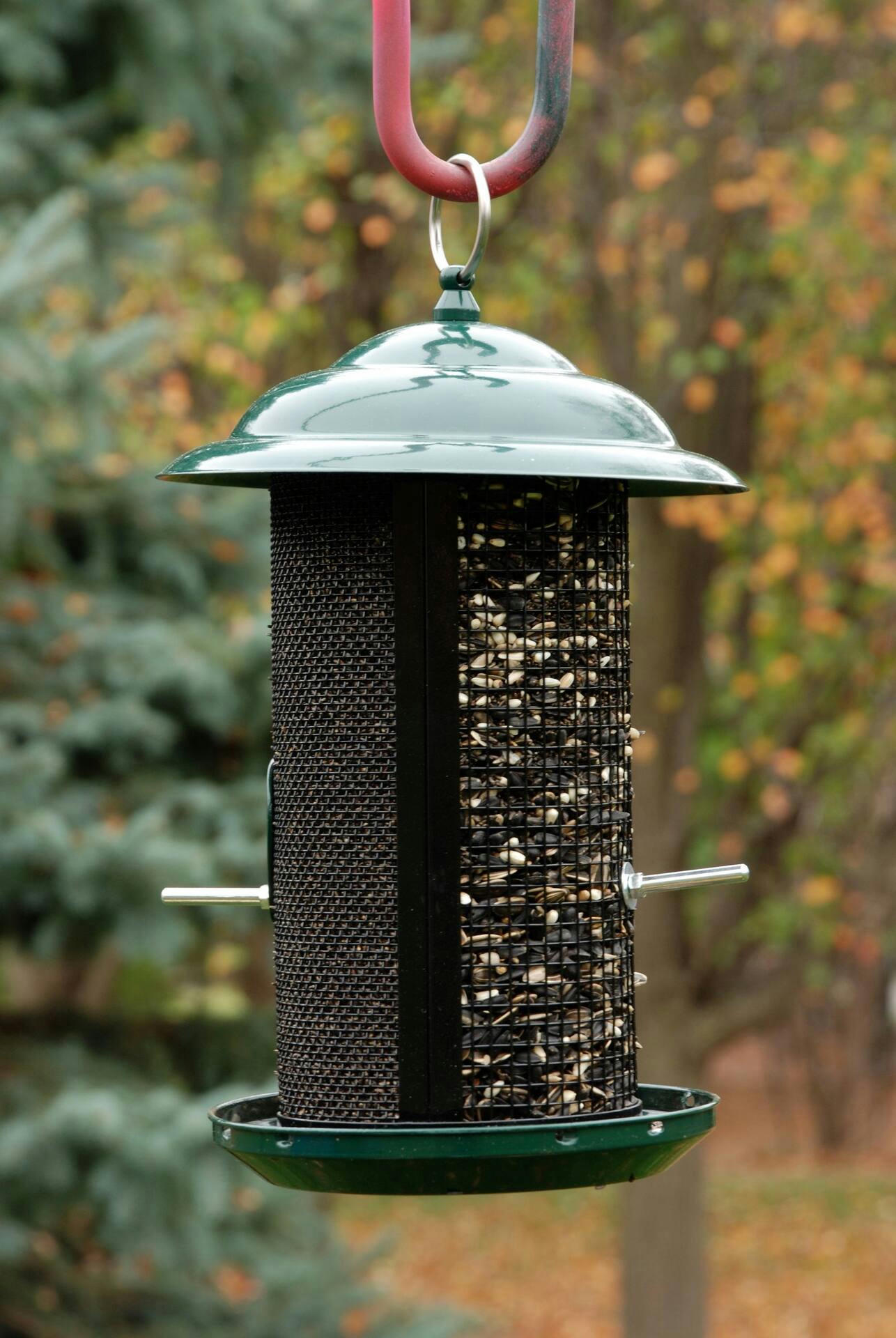 Panacea Combo Nyjer & Mixed Bird Seed Mesh Feeder, 3-lb