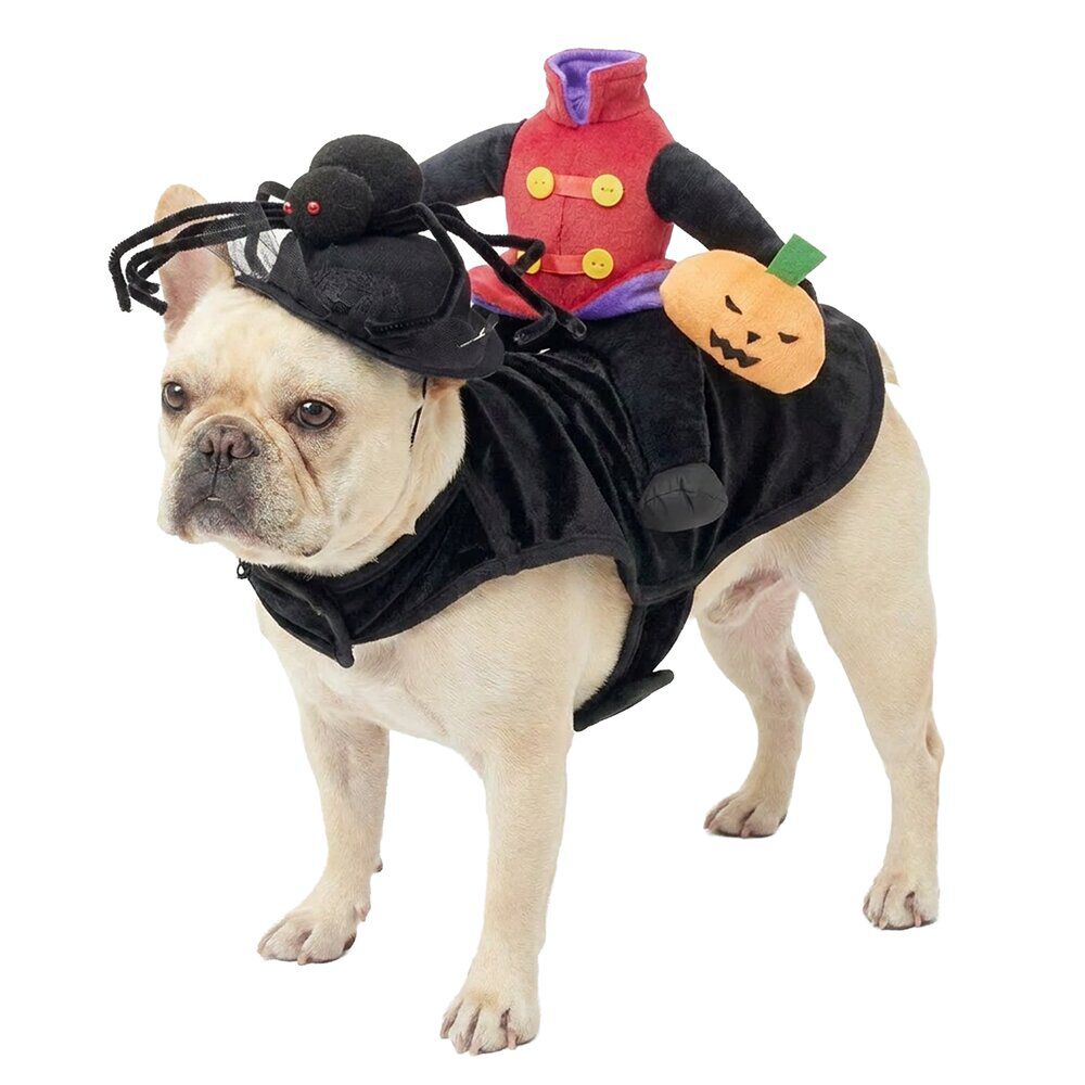 Déguisement pour animal Halloween bonhomme citrouille sans tête noir L/XL