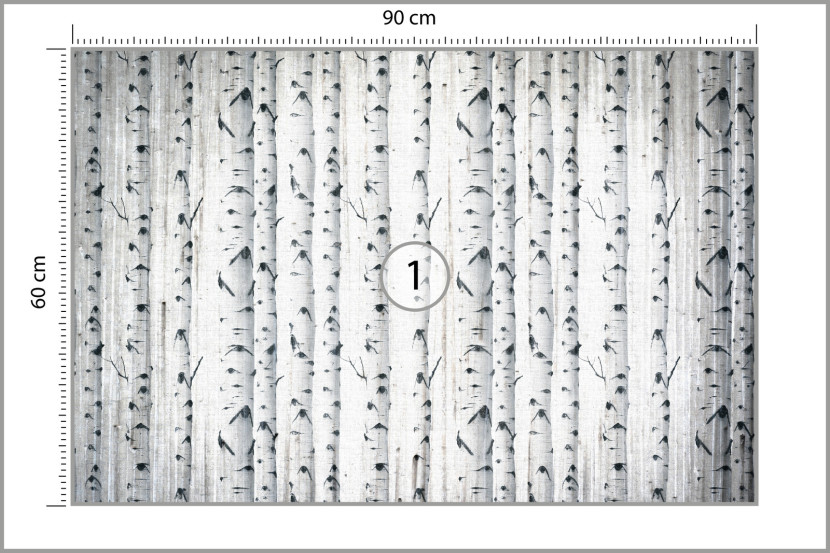 Fototapeta Las Brzozowy W Stylu Vintage 90x60cm