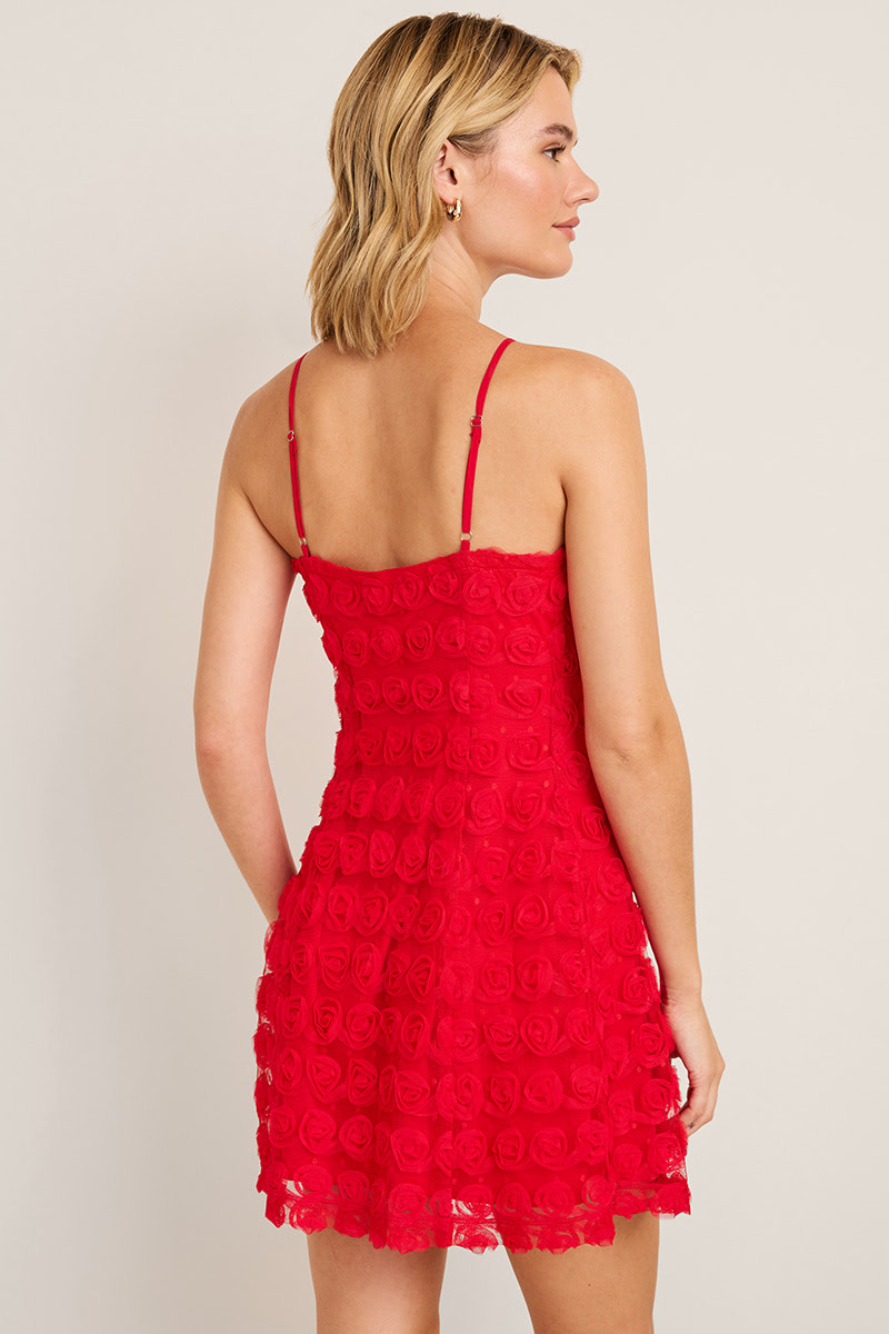Betsy Rosette Mesh Mini Dress