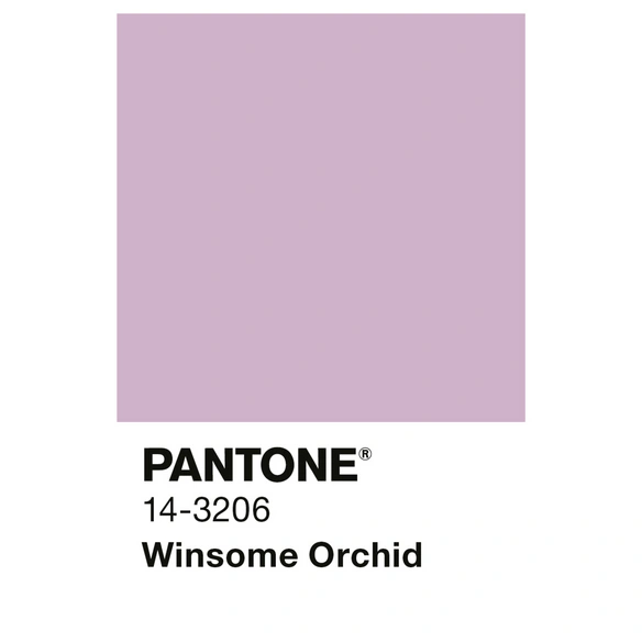 Wandfarbe »PANTONE«, Winsome Orchid, matt, 2,5 l
