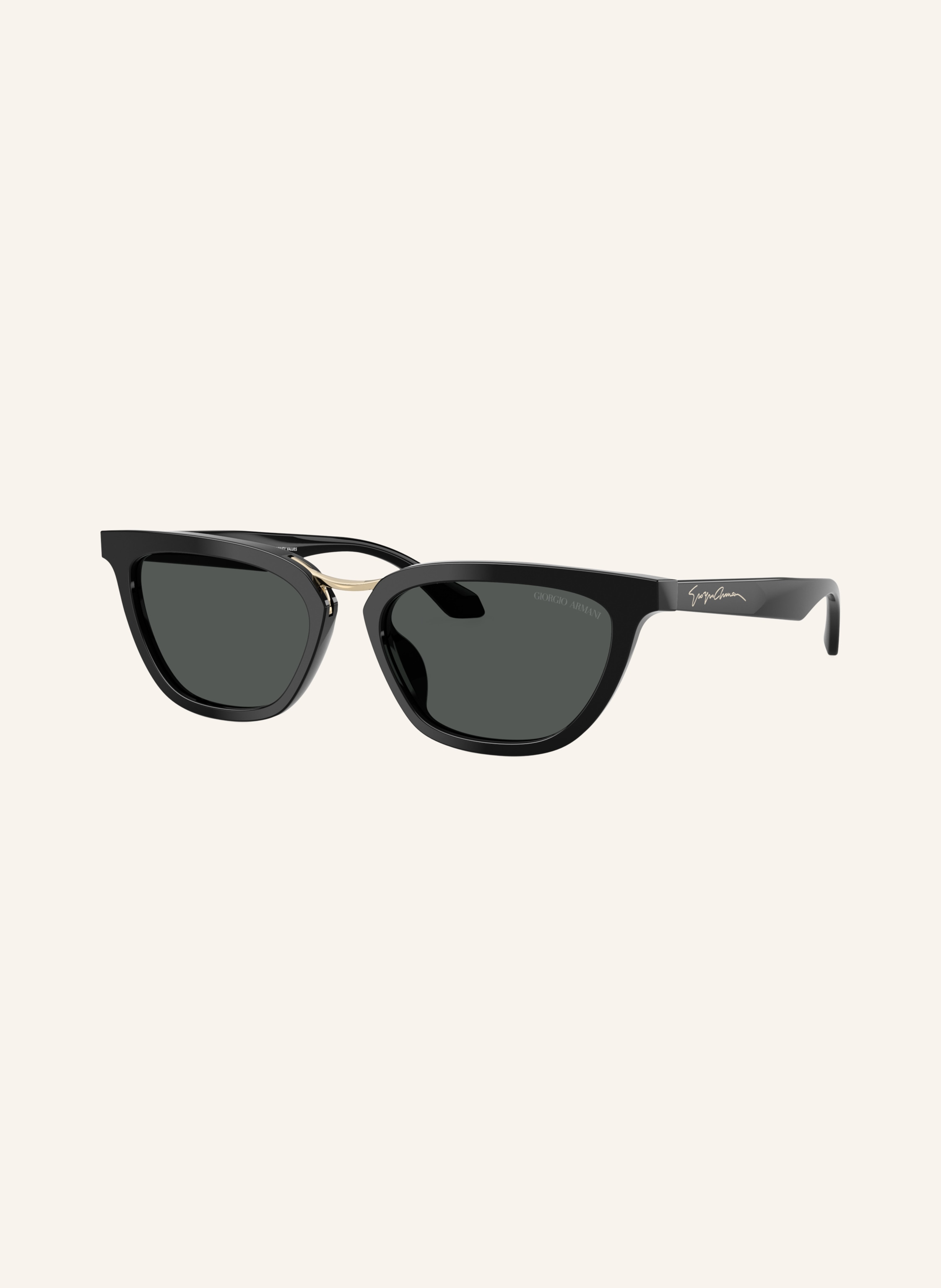 GIORGIO ARMANI Sonnenbrille AR8253U