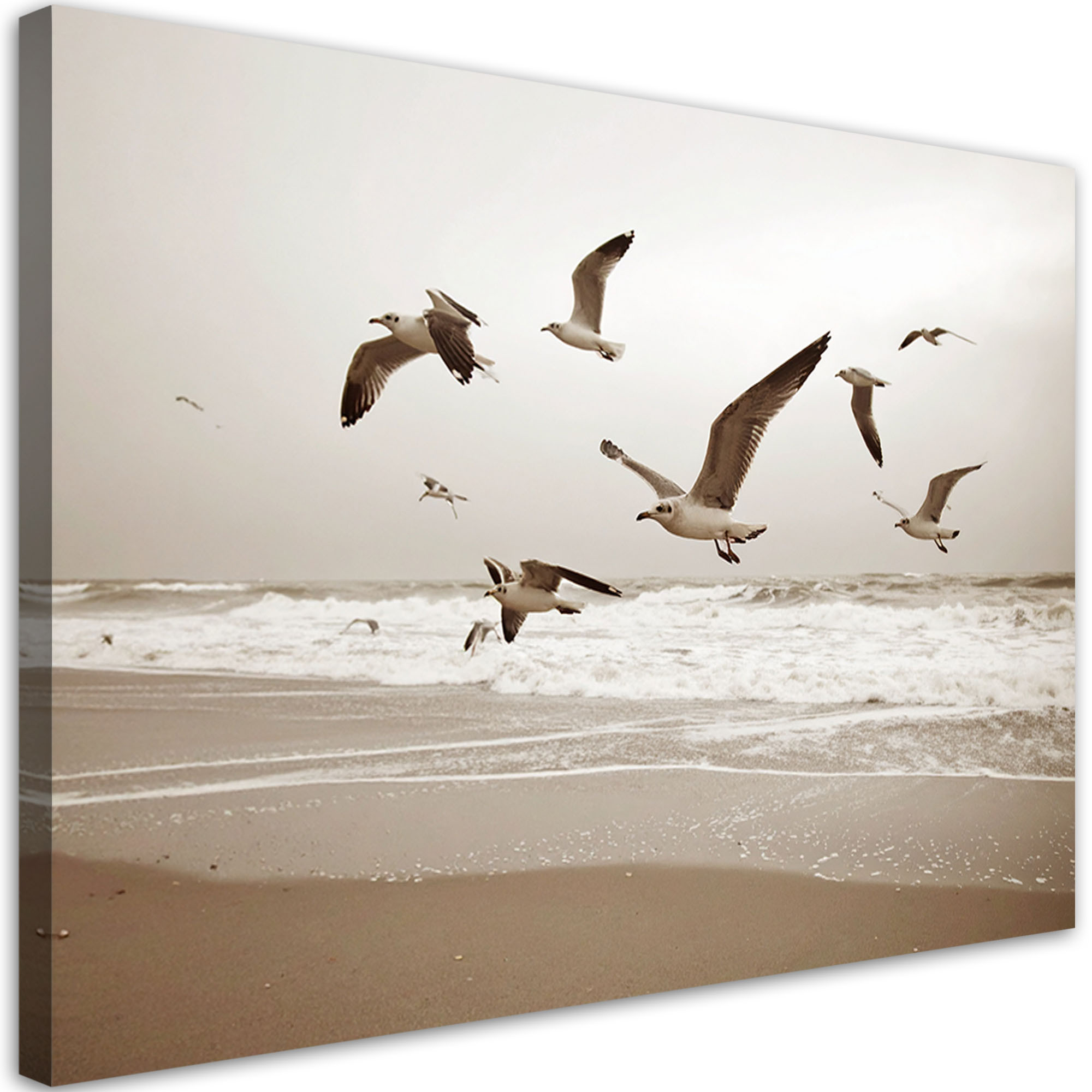 Obraz do salonu kuchni biura, Mewy ptaki morze plaża natura 30x20