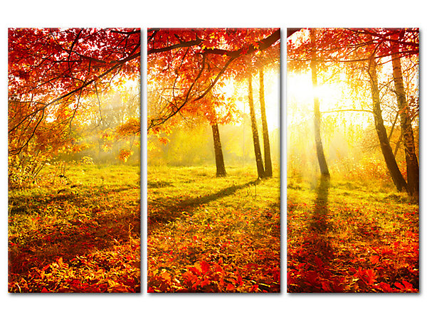 DECLINA, Tableau toile imprimée Paysage, Tableau triptyque Forêt en Automne , 120x80 cm
