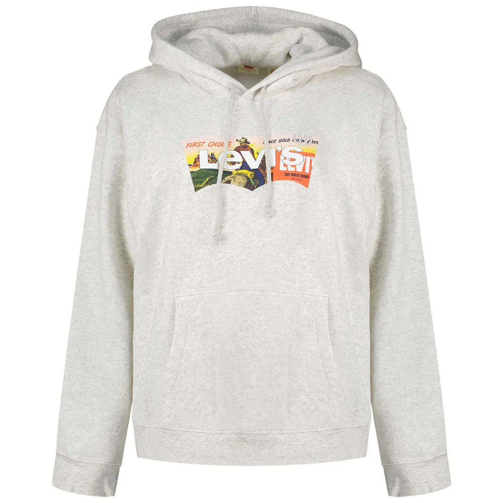Levi's® Graphic Everyday hoodie