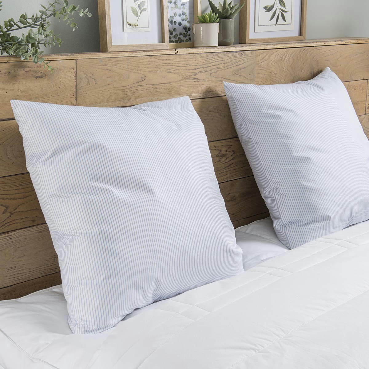 - Oreiller Plumes Ferme - 100% plumettes 60x60 cm - DUNLOPILLO