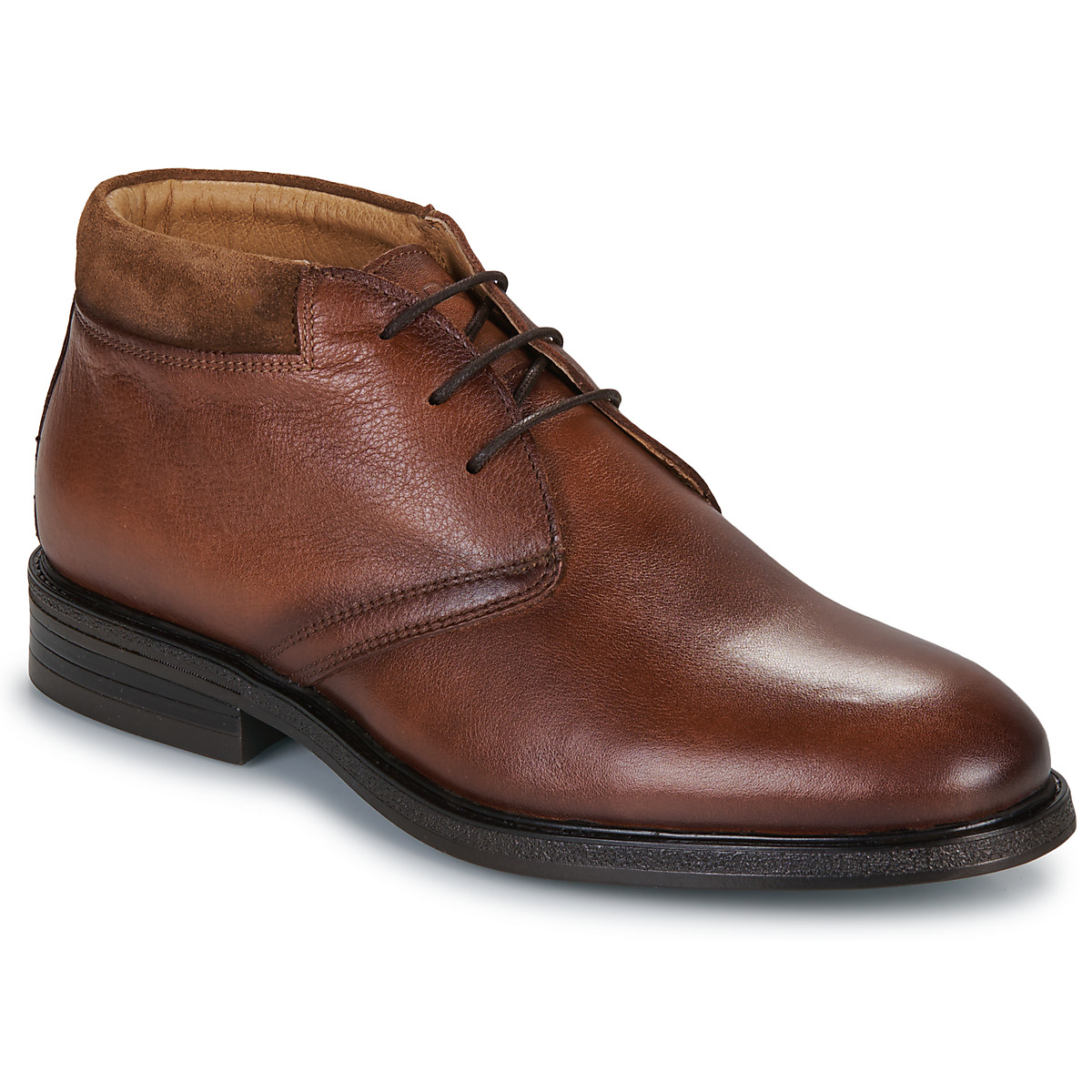 KOST - ZESTAN C1 - Cognac