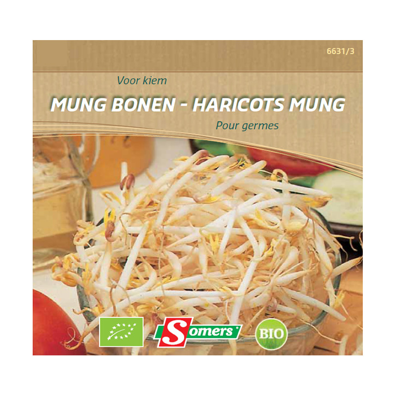 Semences de germes de haricot Mung Bio SOMERS