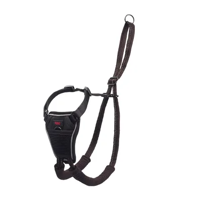 Halti Non-Pull Dog Training Harness