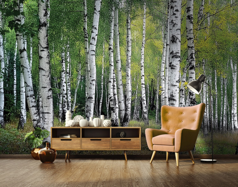 Fototapeta 3D Las Brzozowy Drzewa Sypialnia Salon Tapeta Flizelina 250X175