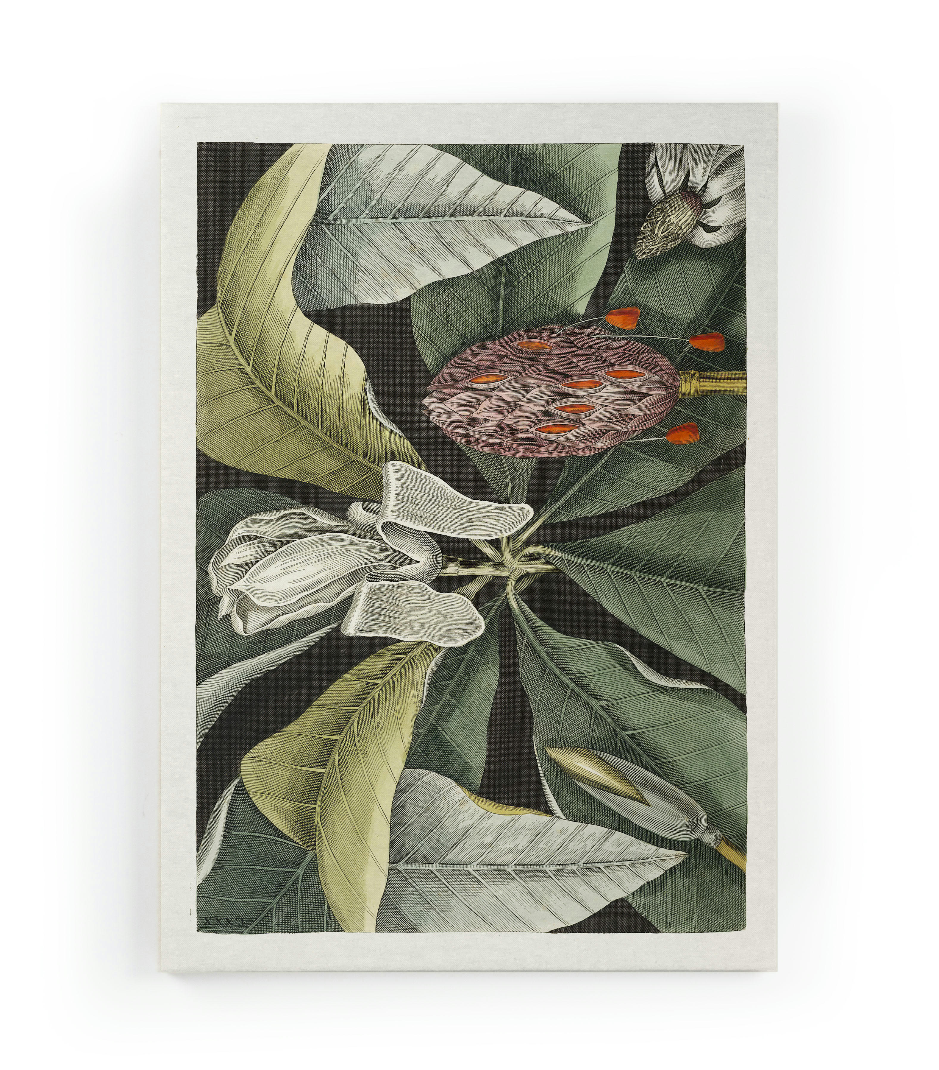 UMBRELLA TREE - Peinture sur toile 60x40 imprimé HD arbre parapluie