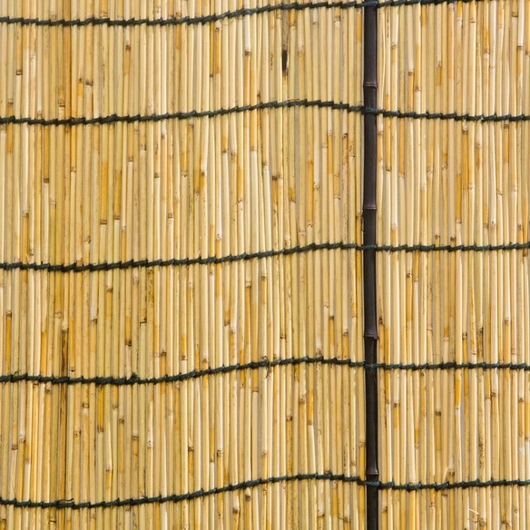 Sichtschutzmatte, Schilfrohr/Bambus, LxH: 180 x 180 cm