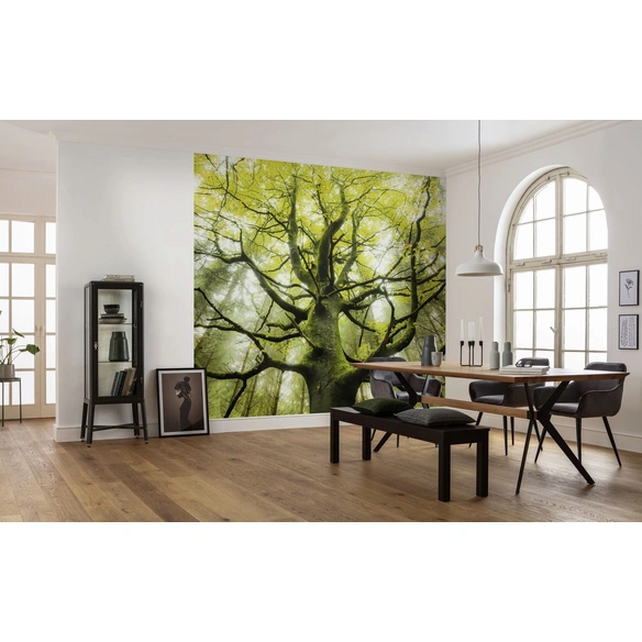 Vliestapete »Der Traumbaum«, Breite 450 cm, seidenmatt