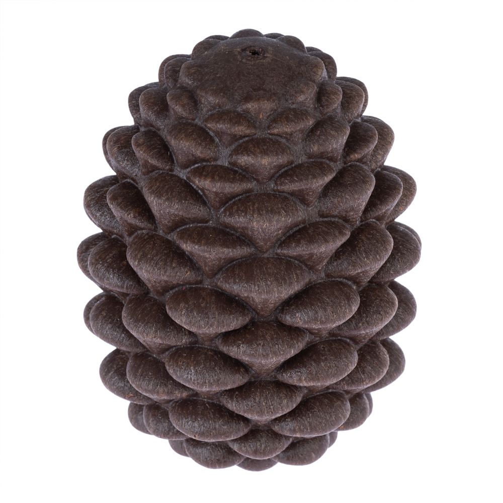 TIAKI Pine Cone Puzzle Toy