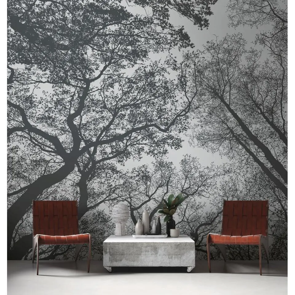 One Wall one Role fotobehang bosrijk landschap grijs en zwart - 371 x 280 cm