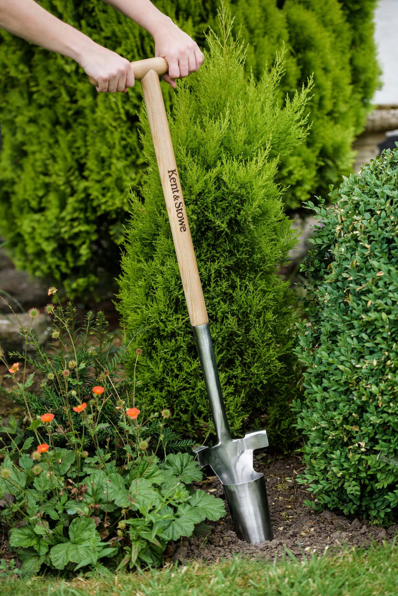 - Plantoir à bulbes avec manche en bois