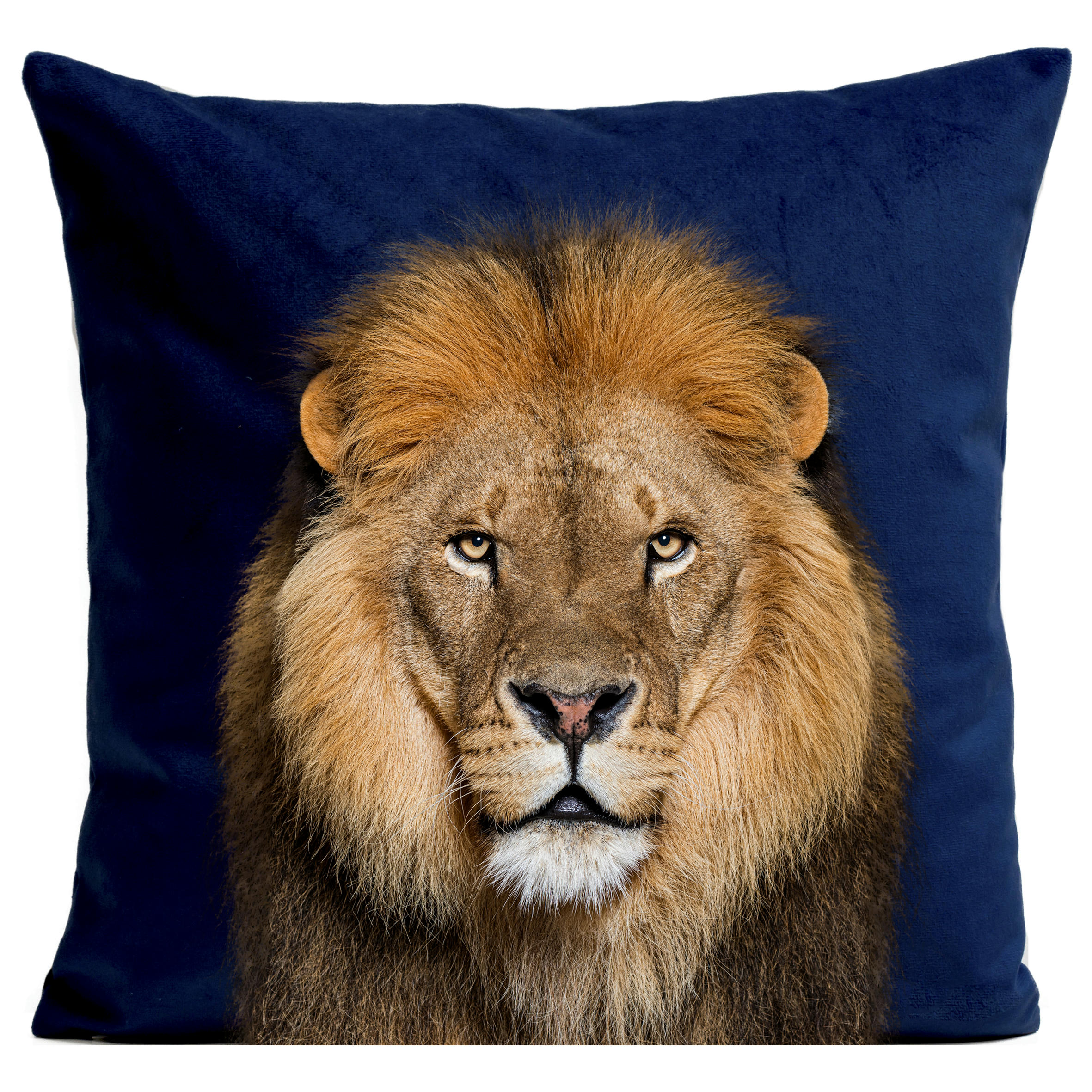 - Coussin animal lion suédine bleu 40x40cm