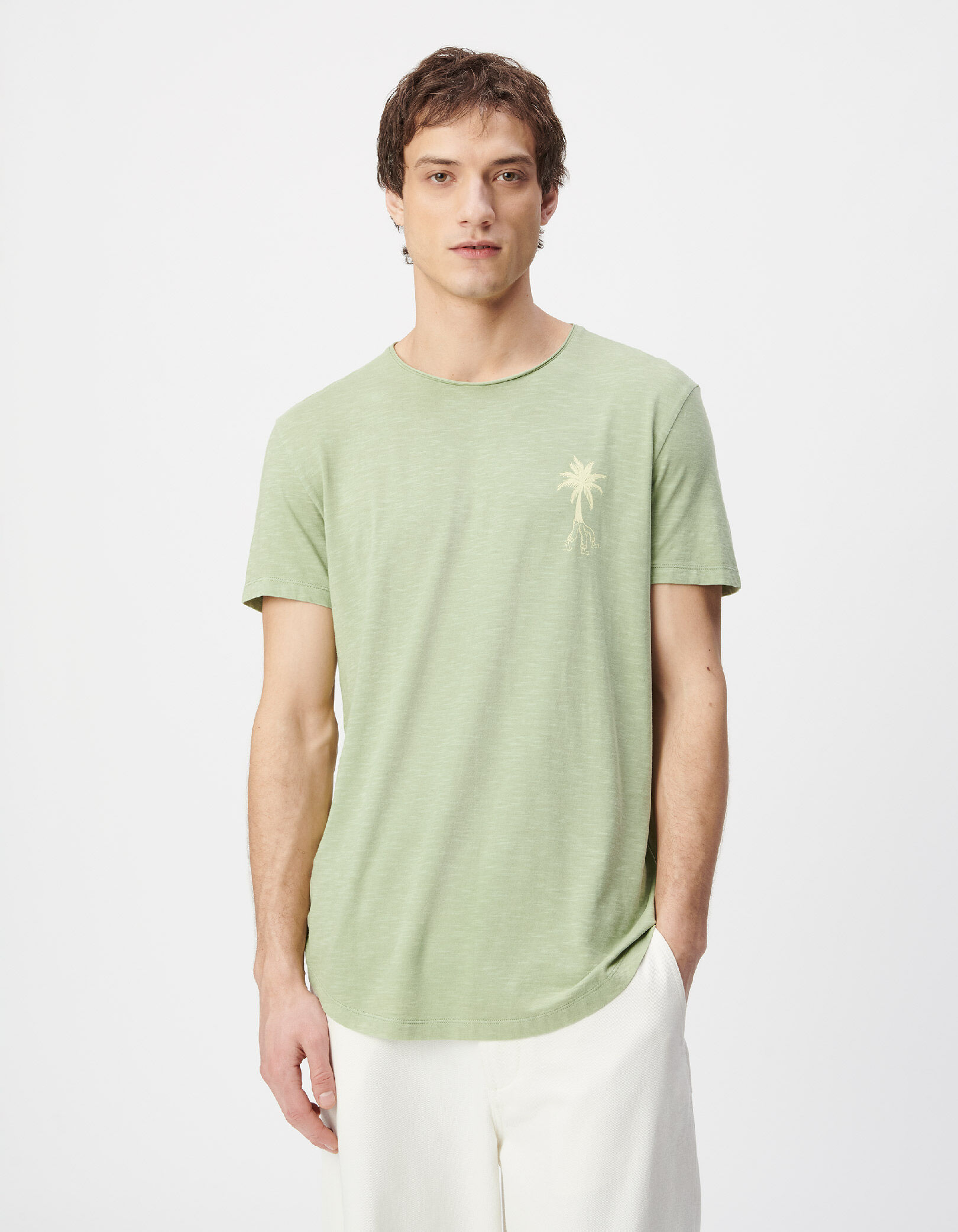 T-shirt col rond vert coton bio visuel palmier Homme