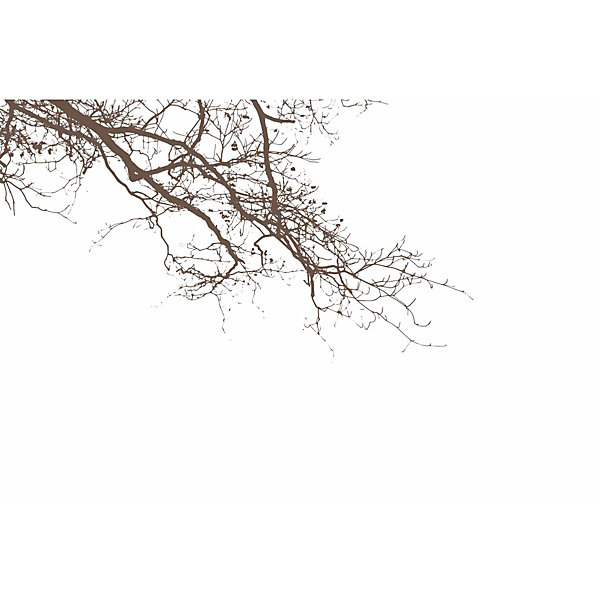 Papier peint panoramique Abstract Branch, Brun foncé 150 x 250cm