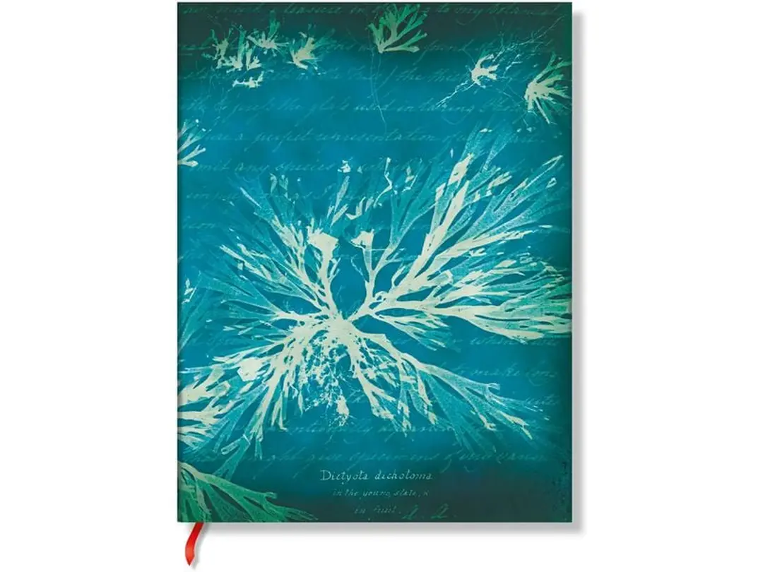 Notizbuch Meeresblumen