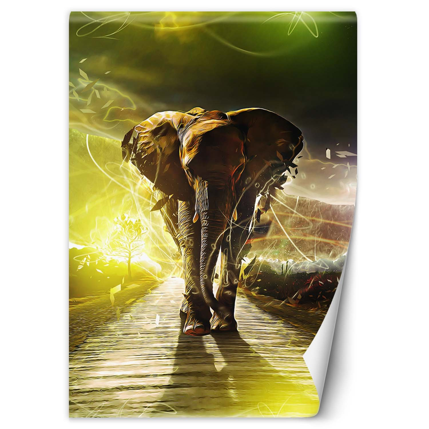 Feeby Fototapeta, Słoń na drodze abstrakcja 100x140