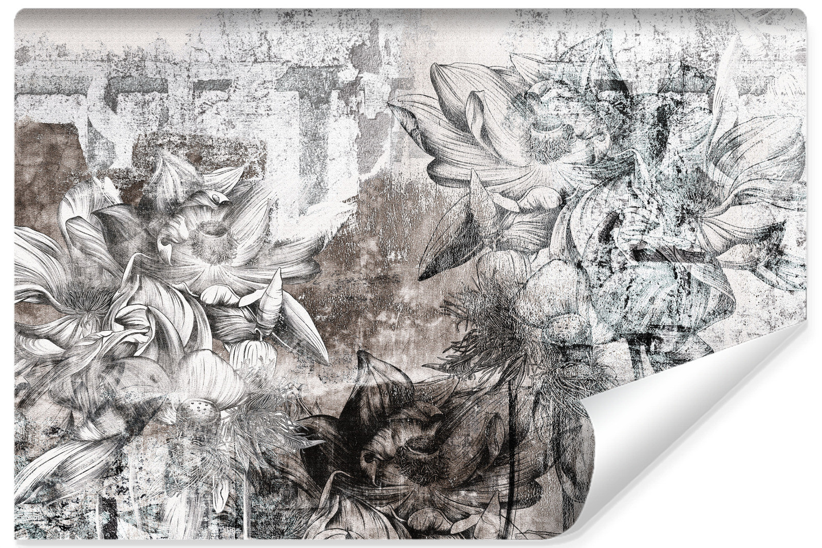 Fototapeta Kwiaty Tropikalne Na Betonie 90x60cm