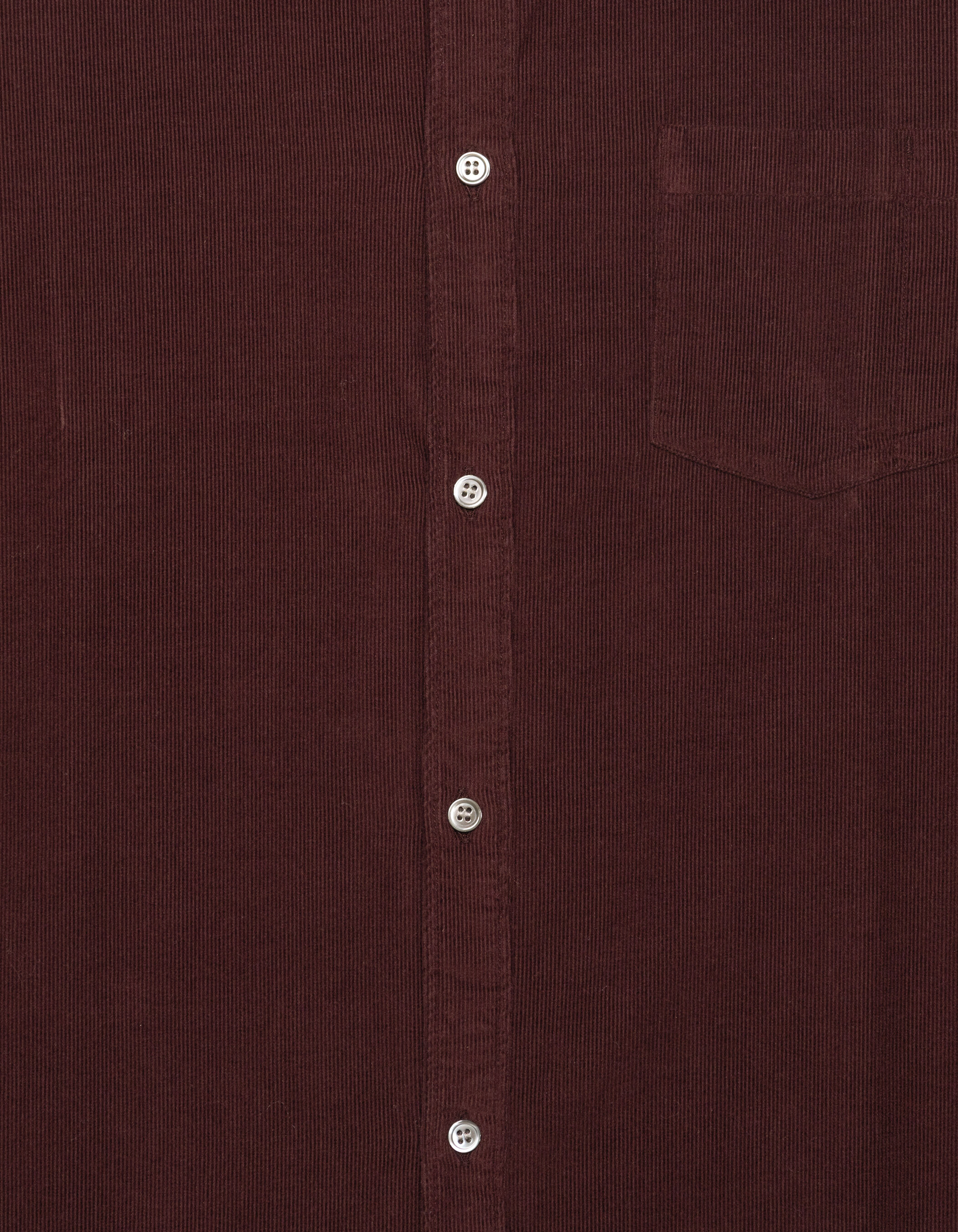 Chemise regular marine coton bio velours milleraies Homme