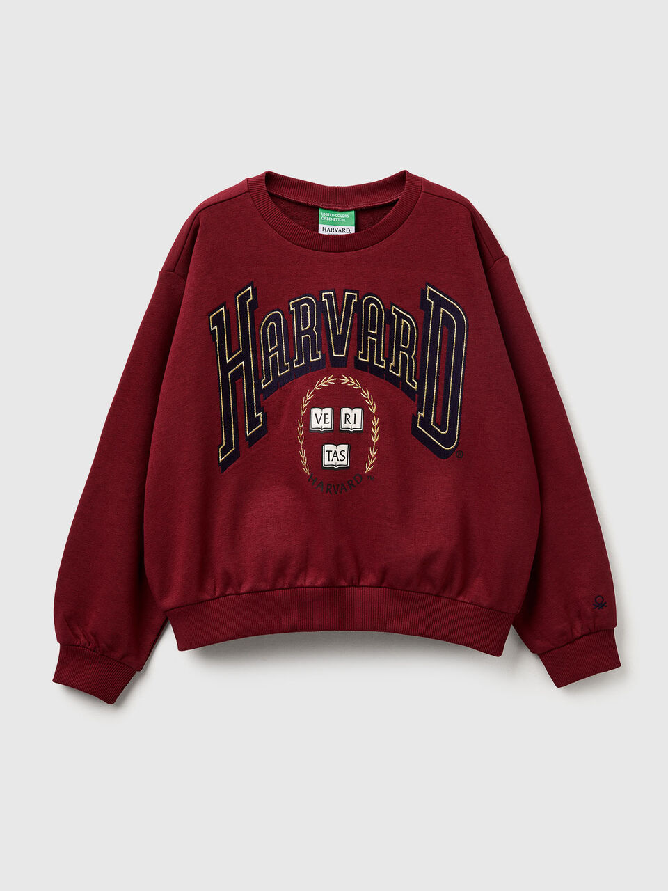&copy;Harvard University sweatshirt