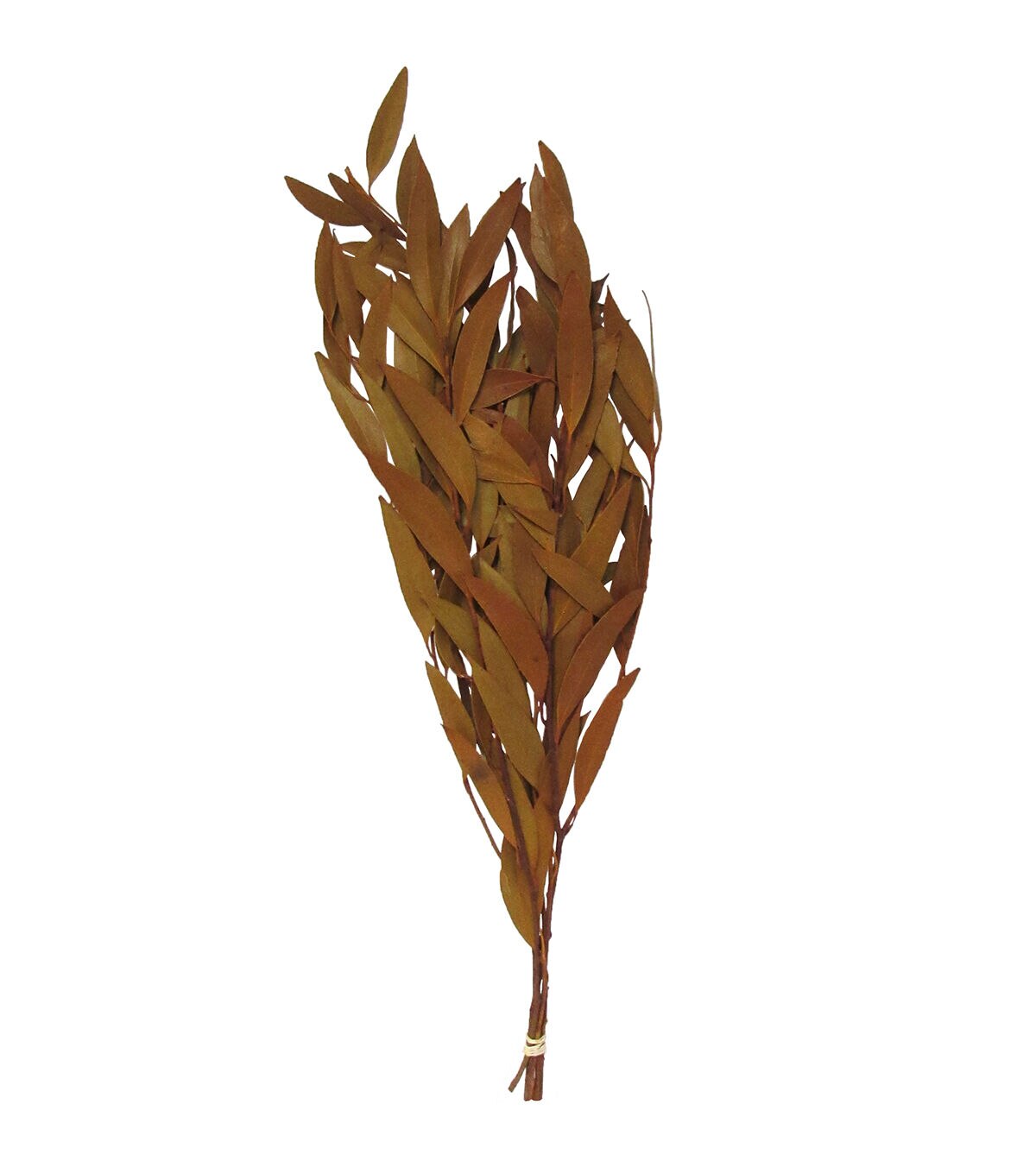 19 Camel Amber Dried Foliage Bouquet by Bloom Room